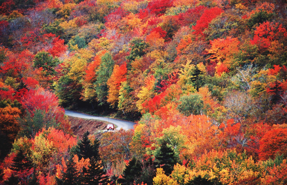 Картинки по запросу New England Autumn